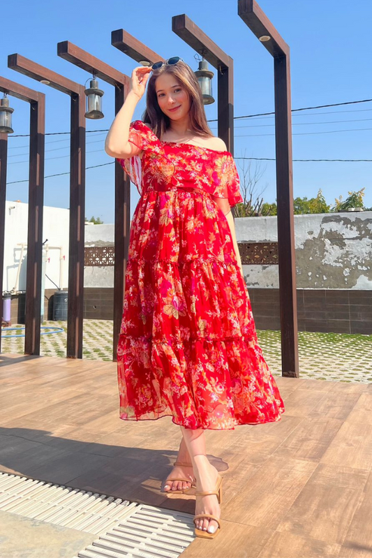 Shanaya Floral Chiffon Dress